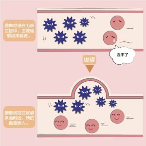 早睡早起并不只是口号：建立稳定睡眠节律的实用方法