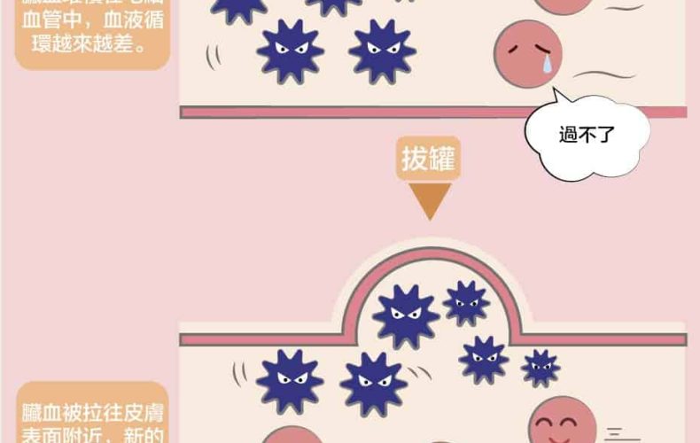 早睡早起并不只是口号：建立稳定睡眠节律的实用方法 睡眠养生 规律作息