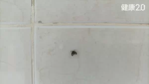 养胃从规律吃饭开始：减少暴饮暴食比寻找偏方更实际