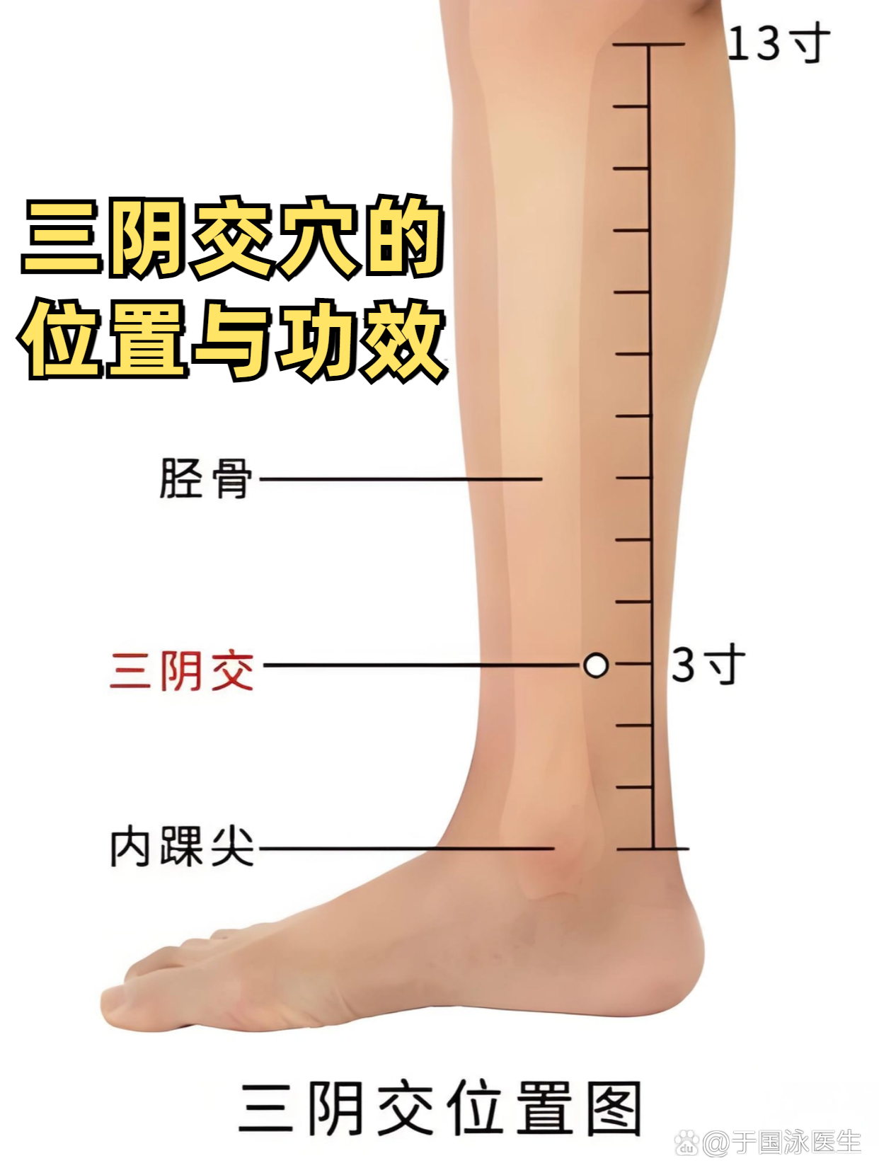 每天走路多少更合理:从自身基础出发逐步增加活动量 每天走路多少更合理:从自身基础出发逐步增加活动量